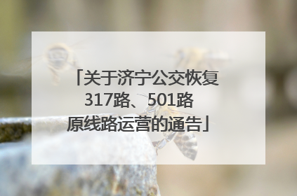 关于济宁公交恢复317路、501路原线路运营的通告