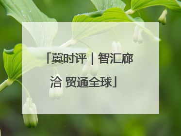 冀时评｜智汇廊洽 贸通全球
