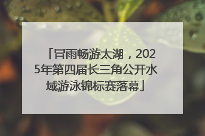 冒雨畅游太湖，2025年第四届长三角公开水域游泳锦标赛落幕