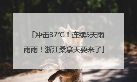 冲击37℃！连续5天雨雨雨！浙江桑拿天要来了