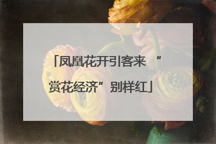 凤凰花开引客来 “赏花经济”别样红