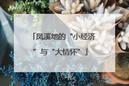 凤溪地的“小经济”与“大情怀”