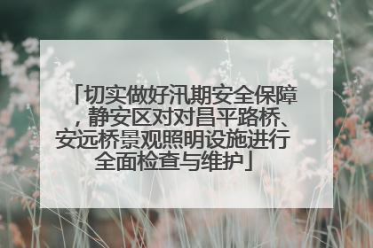 切实做好汛期安全保障，静安区对对昌平路桥、安远桥景观照明设施进行全面检查与维护
