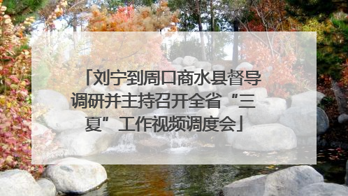 刘宁到周口商水县督导调研并主持召开全省“三夏”工作视频调度会