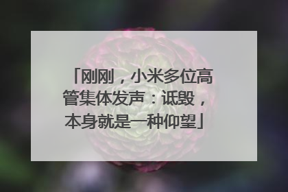 刚刚，小米多位高管集体发声：诋毁，本身就是一种仰望