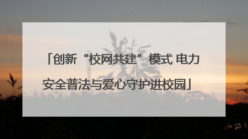 创新“校网共建”模式 电力安全普法与爱心守护进校园