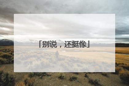 别说，还挺像