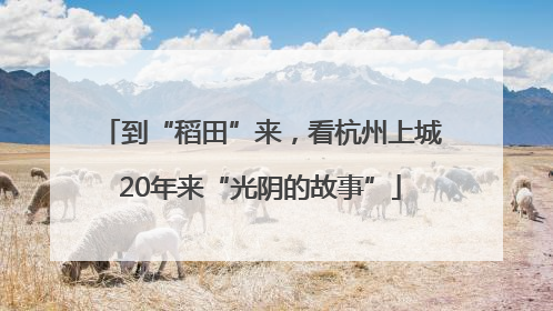 到“稻田”来，看杭州上城20年来“光阴的故事”