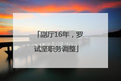 副厅16年，罗试坚职务调整