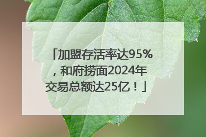 加盟存活率达95%，和府捞面2024年交易总额达25亿！