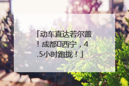 动车直达若尔盖！成都⇄西宁，4.5小时跑拢！