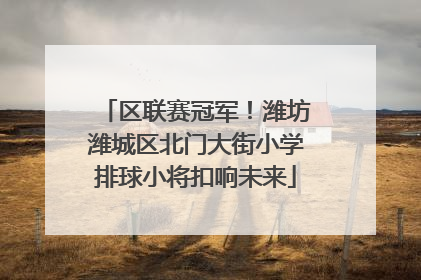 区联赛冠军！潍坊潍城区北门大街小学排球小将扣响未来