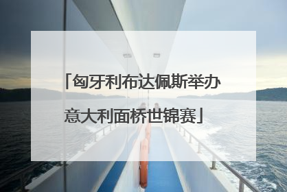 匈牙利布达佩斯举办意大利面桥世锦赛