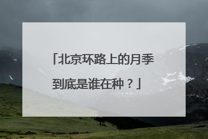 北京环路上的月季到底是谁在种？