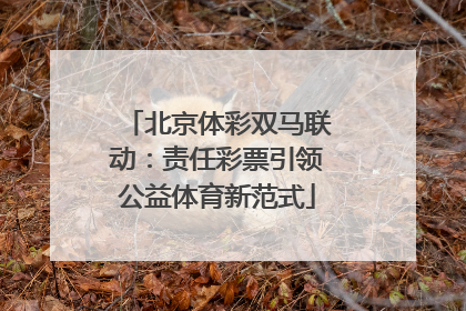 北京体彩双马联动：责任彩票引领公益体育新范式