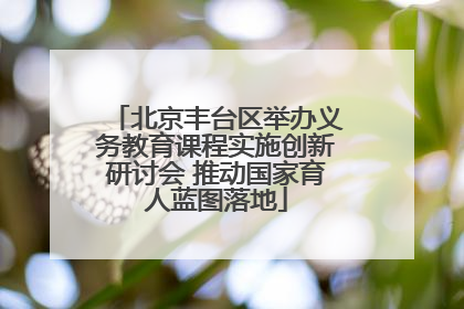 北京丰台区举办义务教育课程实施创新研讨会 推动国家育人蓝图落地