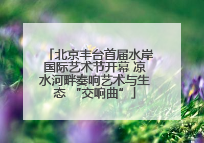 北京丰台首届水岸国际艺术节开幕 凉水河畔奏响艺术与生态 “交响曲”