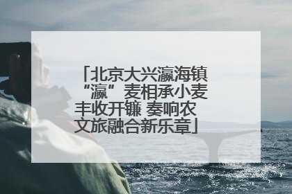 北京大兴瀛海镇“瀛”麦相承小麦丰收开镰 奏响农文旅融合新乐章