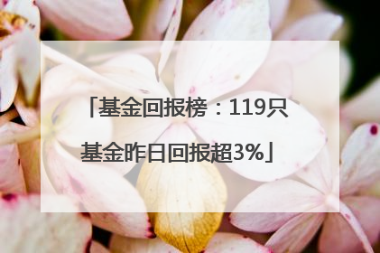基金回报榜：119只基金昨日回报超3%