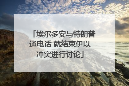 埃尔多安与特朗普通电话 就结束伊以冲突进行讨论