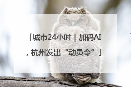 城市24小时｜加码AI，杭州发出“动员令”