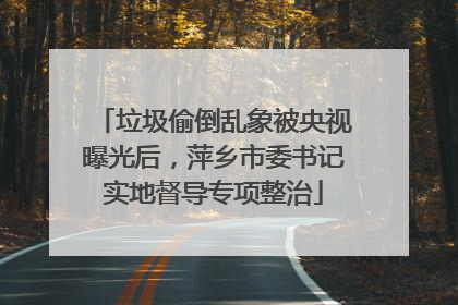 垃圾偷倒乱象被央视曝光后，萍乡市委书记实地督导专项整治