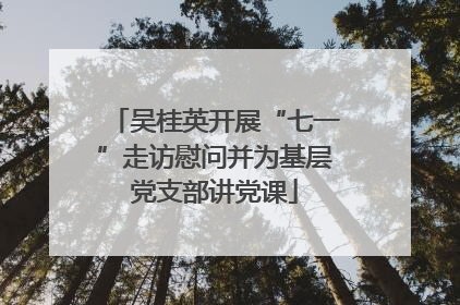 吴桂英开展“七一”走访慰问并为基层党支部讲党课