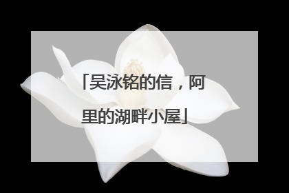 吴泳铭的信，阿里的湖畔小屋