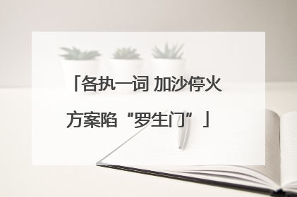 各执一词 加沙停火方案陷“罗生门”