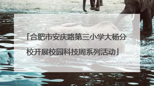 合肥市安庆路第三小学大杨分校开展校园科技周系列活动
