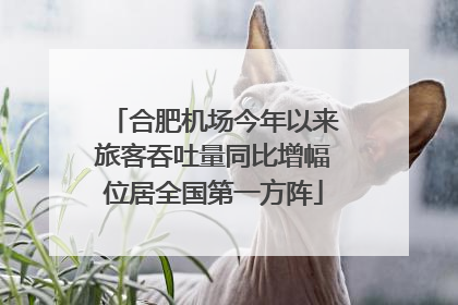 合肥机场今年以来旅客吞吐量同比增幅位居全国第一方阵