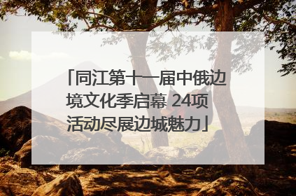 同江第十一届中俄边境文化季启幕 24项活动尽展边城魅力