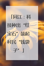 同江：科技种出“红宝石”鼓起村民“钱袋子”