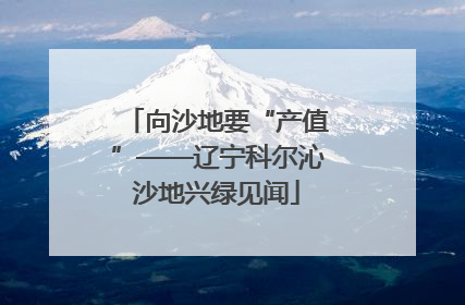 向沙地要“产值”——辽宁科尔沁沙地兴绿见闻