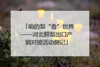 咱的梨“香”世界——河北鲜梨出口产销对接活动侧记