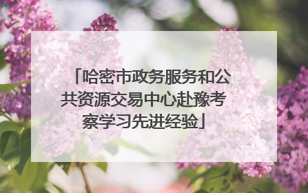 哈密市政务服务和公共资源交易中心赴豫考察学习先进经验