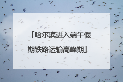 哈尔滨进入端午假期铁路运输高峰期