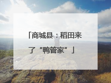 商城县：稻田来了“鸭管家”