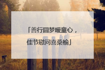 善行圆梦暖童心，佳节慰问喜桑榆