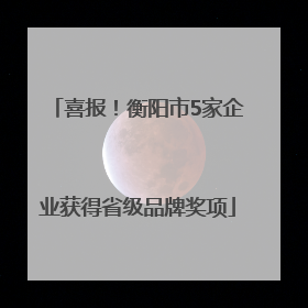 喜报！衡阳市5家企业获得省级品牌奖项