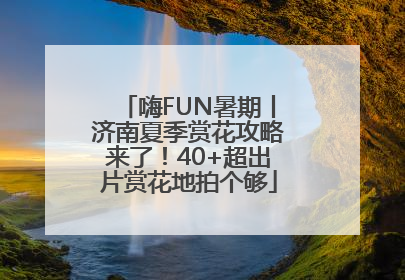 嗨FUN暑期丨济南夏季赏花攻略来了！40+超出片赏花地拍个够