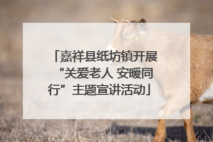 嘉祥县纸坊镇开展“关爱老人 安暖同行”主题宣讲活动