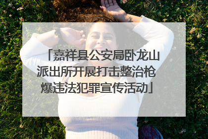 嘉祥县公安局卧龙山派出所开展打击整治枪爆违法犯罪宣传活动