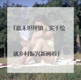 嘉禾坦坪镇：实干绘就乡村振兴新画卷