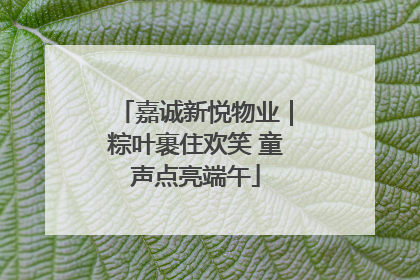 嘉诚新悦物业｜粽叶裹住欢笑 童声点亮端午