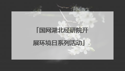 国网湖北经研院开展环境日系列活动