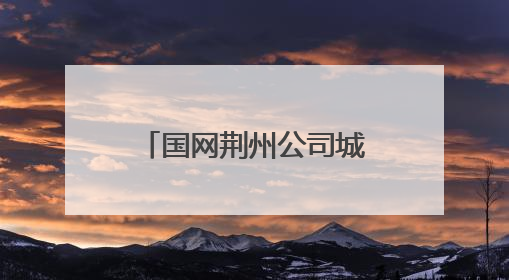 国网荆州公司城区供电中心开展安全用电宣传活动