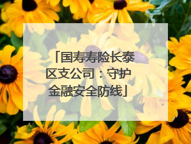 国寿寿险长泰区支公司：守护金融安全防线