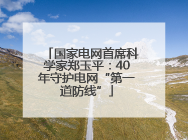 国家电网首席科学家郑玉平：40年守护电网“第一道防线”