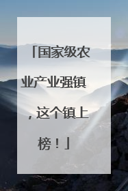 国家级农业产业强镇，这个镇上榜！